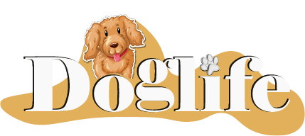 Tarım Orman Bakanlığı Ruhsatlı Köpek Üretim Çiftliği - Toy Poodle-Maltipoo-Maltese Yavrular