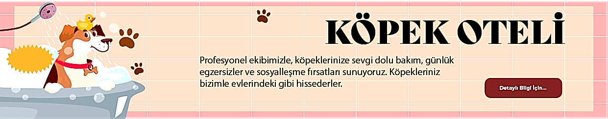 Köpek Oteli